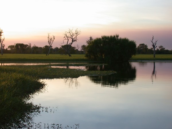 Yellow Waters Billabong (sunset)